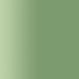 TOUCH UP PAINT PEN PORSCHE R602 LAUBGRUN 2006-