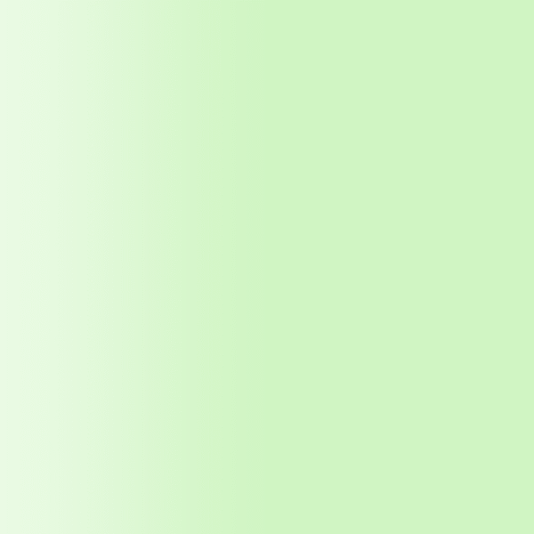 TOUCH UP PAINT PEN PORSCHE R629 MINZGRUN 2006-