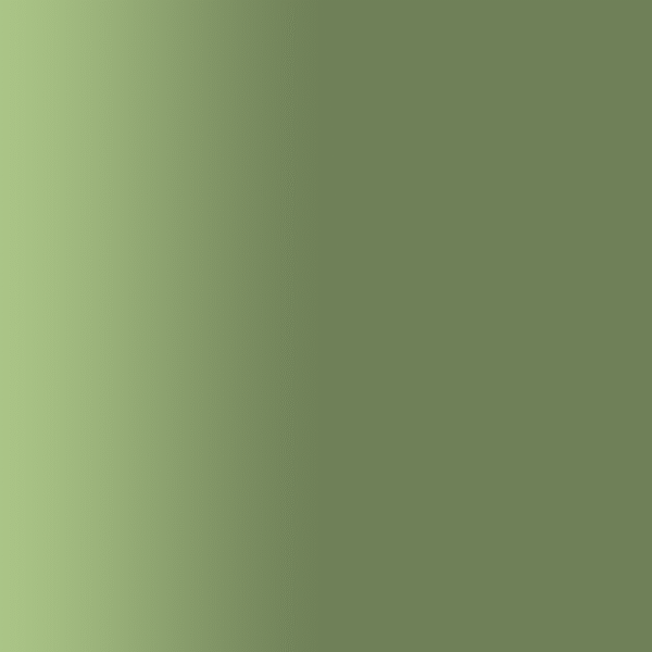 TOUCH UP PAINT PEN PORSCHE 61M LAUBGRUEN 1990-