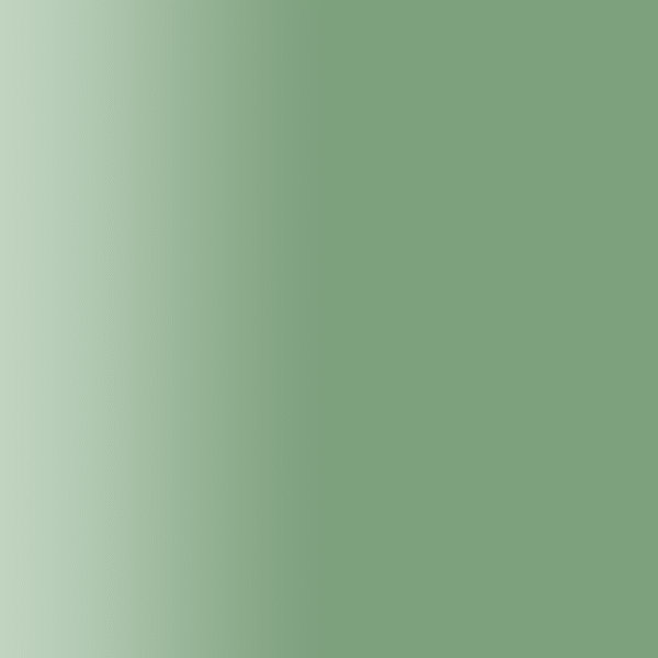 TOUCH UP PAINT PEN PORSCHE 66R PATINAGRUEN 1990-