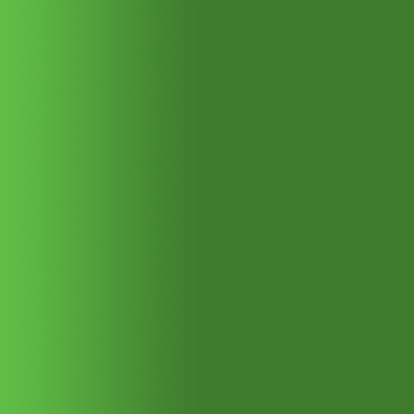 TOUCH UP PAINT PEN PORSCHE R624 VERKEHRSGRUEN 1997-