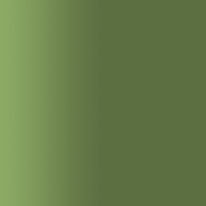 TOUCH UP PAINT PEN PORSCHE 67M ARMY GREEN 1998-01