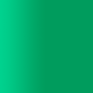 TOUCH UP PAINT PEN PORSCHE LZ6U EMERALD GREEN 1995-97