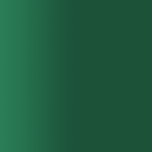 TOUCH UP PAINT PEN PORSCHE R7S EMPIRE GREEN 2000