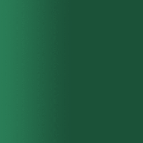 TOUCH UP PAINT PEN PORSCHE R7S EMPIRE GREEN 2000