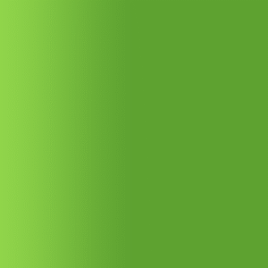 TOUCH UP PAINT PEN PORSCHE C6W GREEN COLLECTION 2001-02