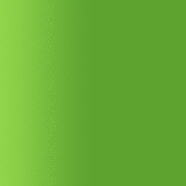 TOUCH UP PAINT PEN PORSCHE C6W GREEN COLLECTION 2001-02