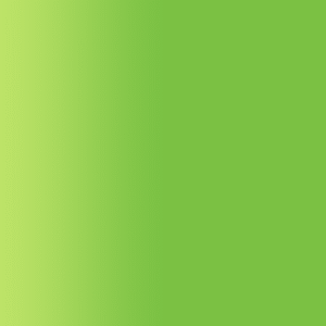 TOUCH UP PAINT PEN PORSCHE K6K GREEN ILLUSION 2001-02