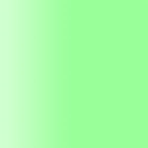 TOUCH UP PAINT PEN PORSCHE N6M MINZGRUEN 1998