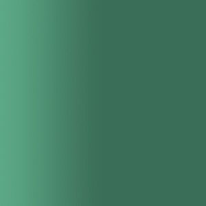 TOUCH UP PAINT PEN PORSCHE G6S SEQUOIA GREEN 1997-99