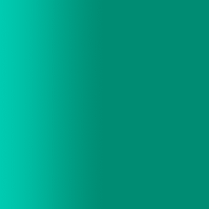 TOUCH UP PAINT PEN PORSCHE M6F SHADE GREEN 2021-