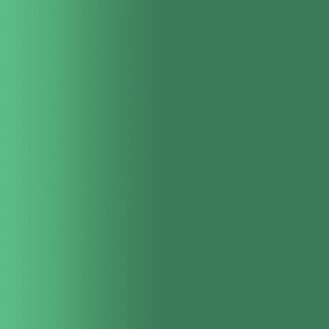 TOUCH UP PAINT PEN PORSCHE A6C EVERGREEN 1999-01
