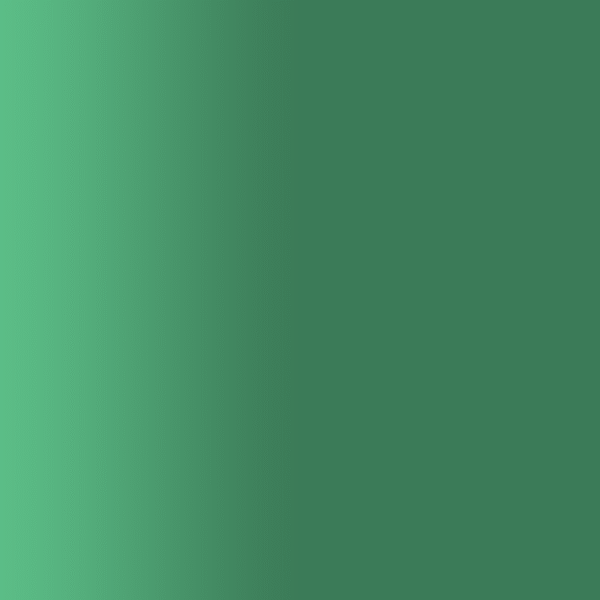 TOUCH UP PAINT PEN PORSCHE A6C EVERGREEN 1999-01