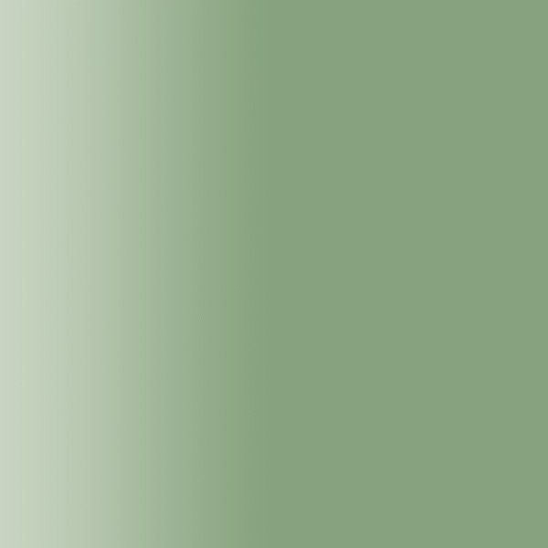 TOUCH UP PAINT PEN PORSCHE R6V MIGNONGRUEN 2001-10