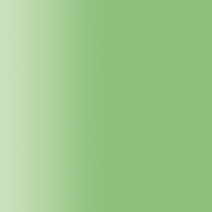 TOUCH UP PAINT PEN PORSCHE A6M GREEN TENDENCE 1998-02