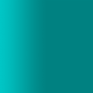 TOUCH UP PAINT PEN PORSCHE C6X OCEANICGRUEN  OCEANIC GREEN 2001-