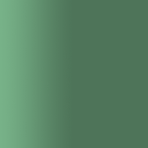 TOUCH UP PAINT PEN PORSCHE N6K TAIGAGRUEN 1994-98