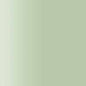 TOUCH UP PAINT PEN PORSCHE R611 RESEDAGRUEN 1997-