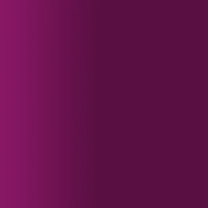 TOUCH UP PAINT PEN PORSCHE 69 069 AUBERGINE 1993-