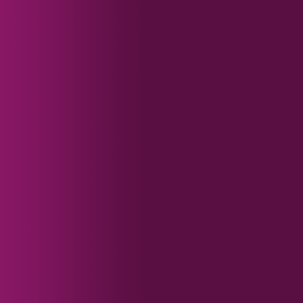 TOUCH UP PAINT PEN PORSCHE 69 069 AUBERGINE 1993-