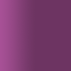 TOUCH UP PAINT PEN PORSCHE Q4Z PURPLE VELVET 1995-