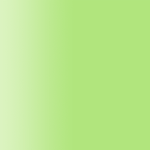 TOUCH UP PAINT PEN PORSCHE 2S1 PERIDOT 2010-17
