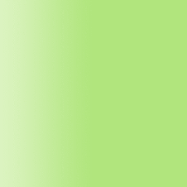 TOUCH UP PAINT PEN PORSCHE 2S1 PERIDOT 2010-17