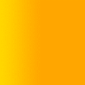 TOUCH UP PAINT PEN PORSCHE B2Z GOLD ORANGE 1996-01