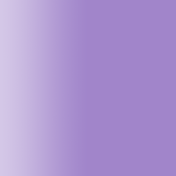 TOUCH UP PAINT PEN PORSCHE 40A ERIKAVIOLETT 1990-