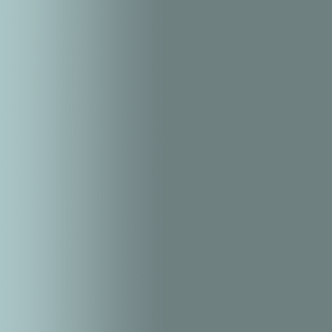 TOUCH UP PAINT PEN PORSCHE 420 ZELTGRAU 1990-