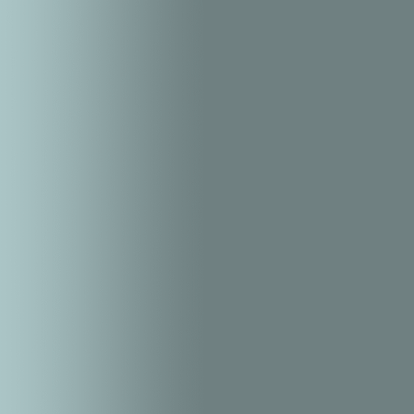 TOUCH UP PAINT PEN PORSCHE 420 ZELTGRAU 1990-