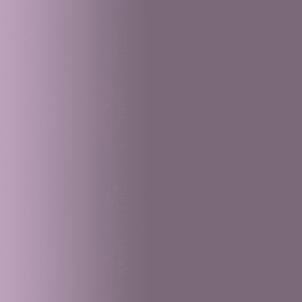 TOUCH UP PAINT PEN PORSCHE Z4V AMETHYST GRAU 1990-95