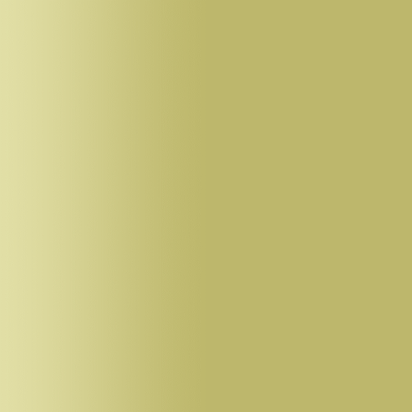TOUCH UP PAINT PEN PORSCHE C6Z KHAKI 1992-97