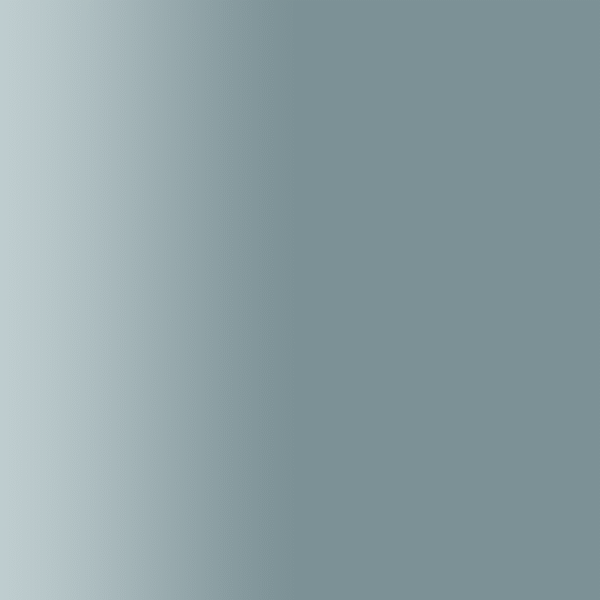TOUCH UP PAINT PEN PORSCHE S7N GRIS ARTICO 1993-99