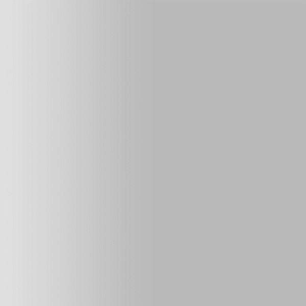 TOUCH UP PAINT PEN PORSCHE R700 FEHGRAU 2001-