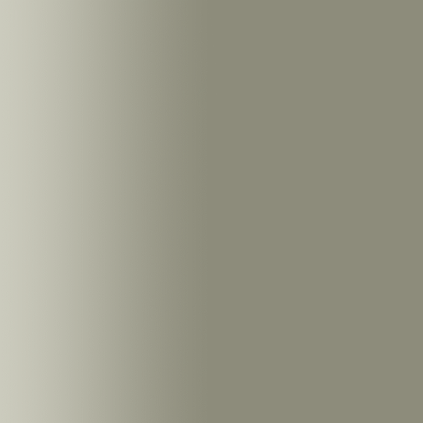 TOUCH UP PAINT PEN PORSCHE R702 OLIVGRAU 2001-