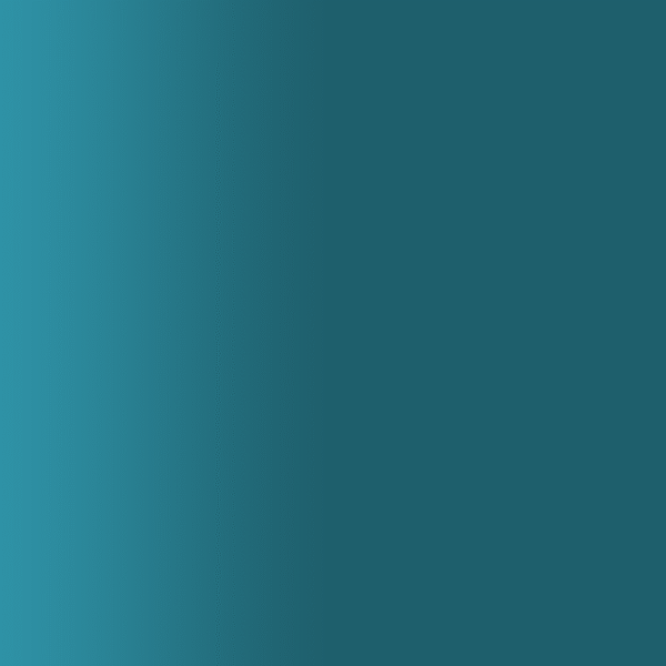 TOUCH UP PAINT PEN PORSCHE 55P GRUENBLAU 1990-