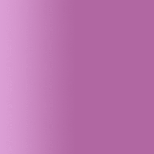 TOUCH UP PAINT PEN PORSCHE 81D ERIKAVIOLETT 1994-98