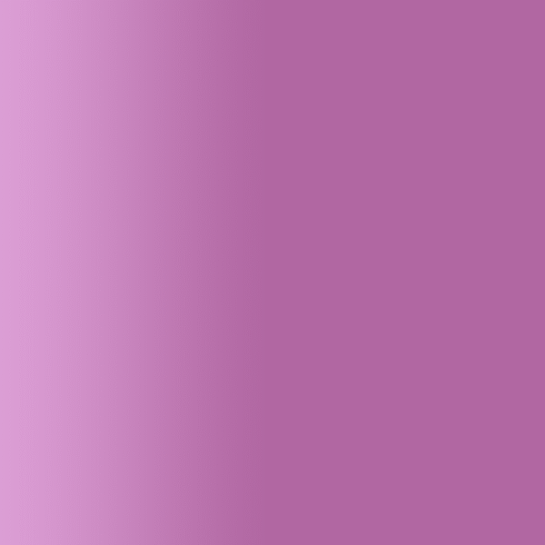 TOUCH UP PAINT PEN PORSCHE 81D ERIKAVIOLETT 1994-98